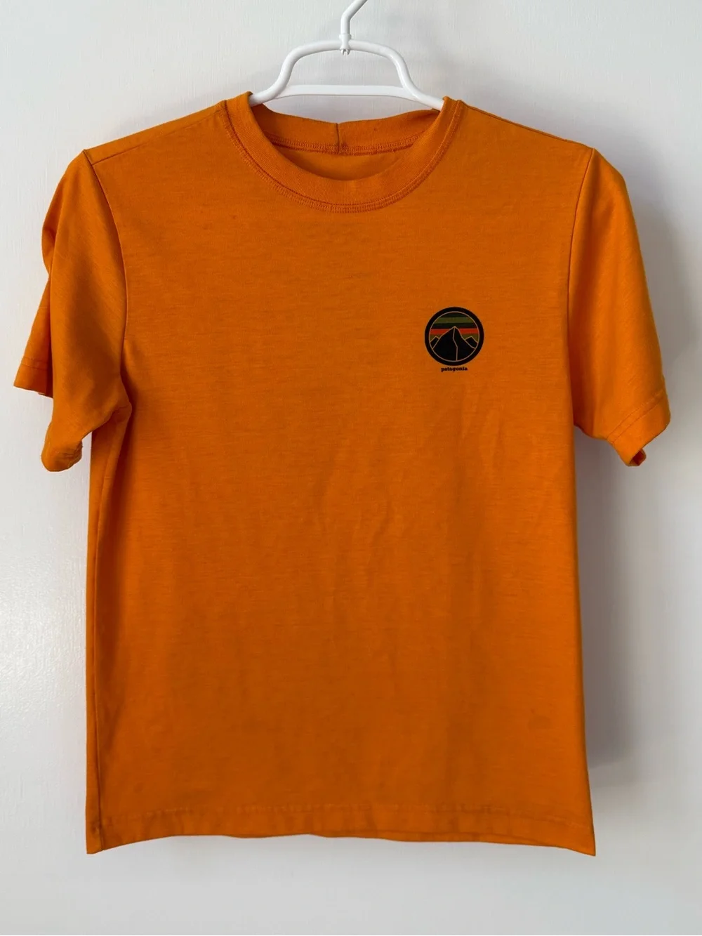 Patagonia Built to Endure Graphic Short Sleeve Shirt Size L (12)